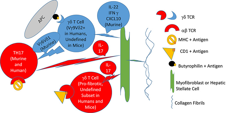 An external file that holds a picture, illustration, etc., usually as some form of binary object. The name of referred object is rmmj-7-4-e0029-g001.gif